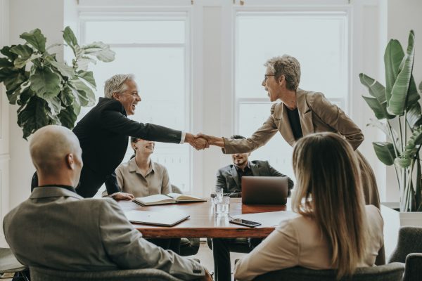 Business partners shaking hands